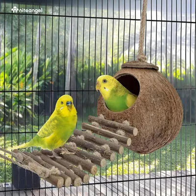 Nid et jouet pour oiseaux et hamsters avec échelle