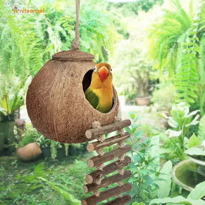 Nid et jouet pour oiseaux et hamsters avec échelle