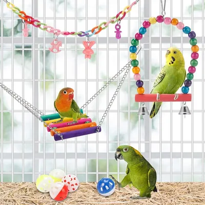 Jeux pour oiseaux - Avec fonctions de balance, hamac, escalade et chewing
