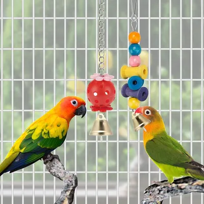 Jeux pour oiseaux - Avec fonctions de balance, hamac, escalade et chewing