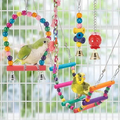Jeux pour oiseaux - Avec fonctions de balance, hamac, escalade et chewing