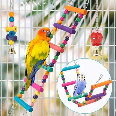 Jeux pour oiseaux - Avec fonctions de balance, hamac, escalade et chewing