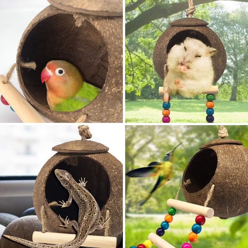 Nid et jouet pour oiseaux et hamsters avec échelle