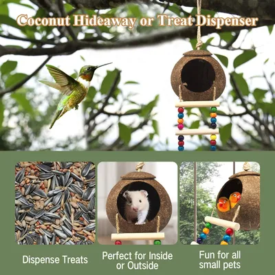 Nid et jouet pour oiseaux et hamsters avec échelle