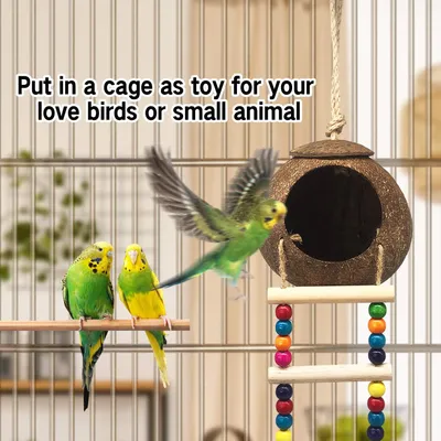 Nid et jouet pour oiseaux et hamsters avec échelle