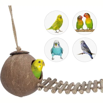 Nid et jouet pour oiseaux et hamsters avec échelle