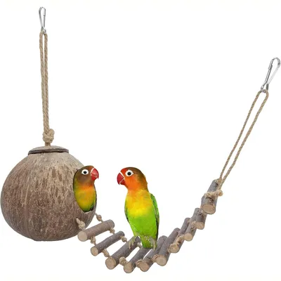 Nid et jouet pour oiseaux et hamsters avec échelle