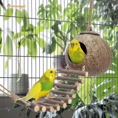 Nid et jouet pour oiseaux et hamsters avec échelle