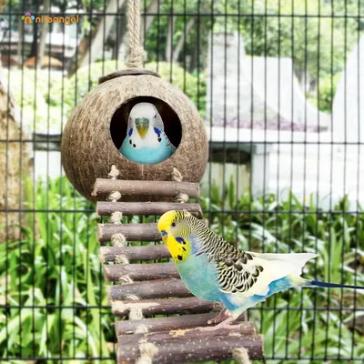 Nid et jouet pour oiseaux et hamsters avec échelle