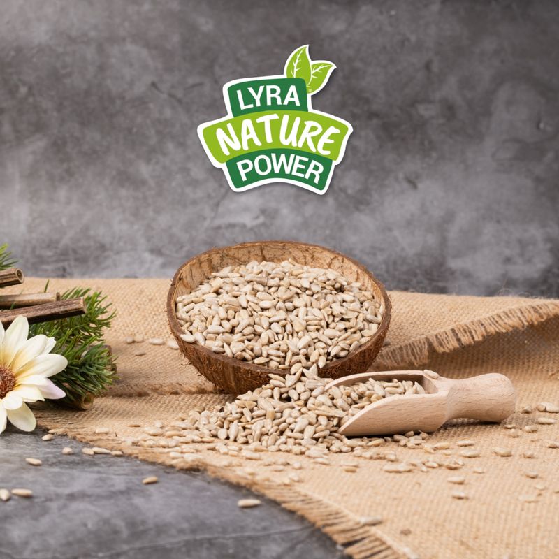 Lyra Pet® Graines de tournesol décortiquées qualité alimentaire 2ème choix