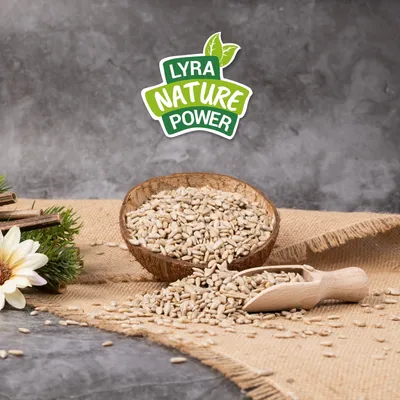 Lyra Pet® Graines de tournesol décortiquées qualité alimentaire 2ème choix