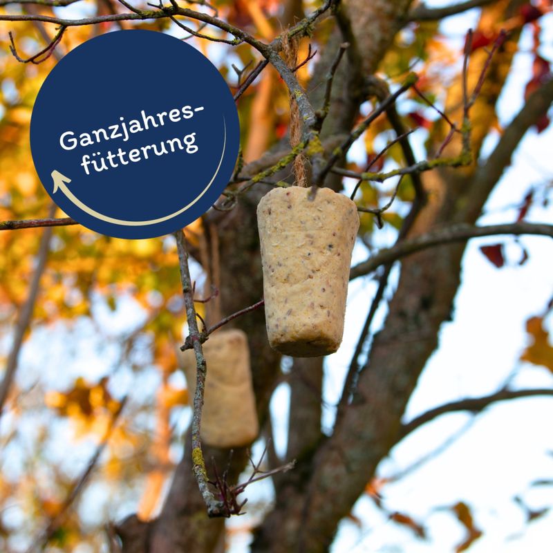 Barre grasse Lyra Pet® avec cacahuètes