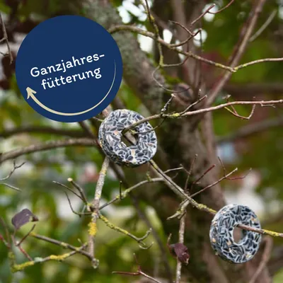 Lyra Pet® Anneaux énergétiques pour mésanges