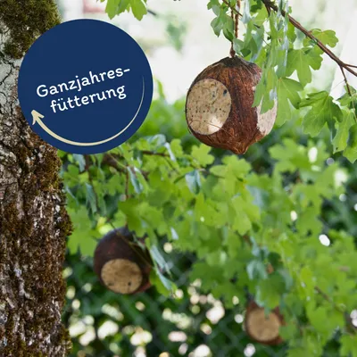 Lyra Pet® Noix de coco farcie avec trous