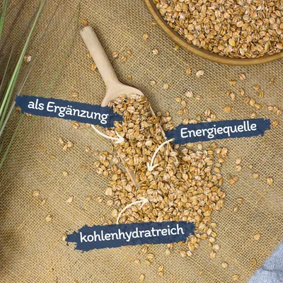 Lyra Pet® Flocons de blé