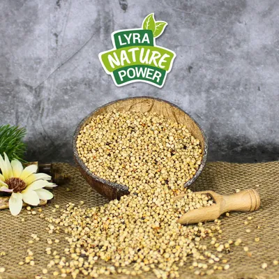 Lyra Pet® Dari blanc