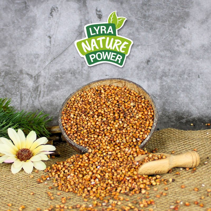 Lyra Pet® Milo
