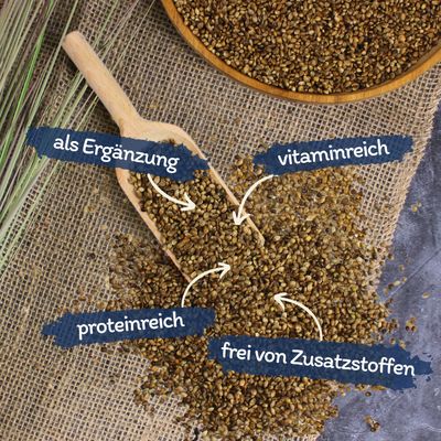 Lyra Pet® Hanfsamen