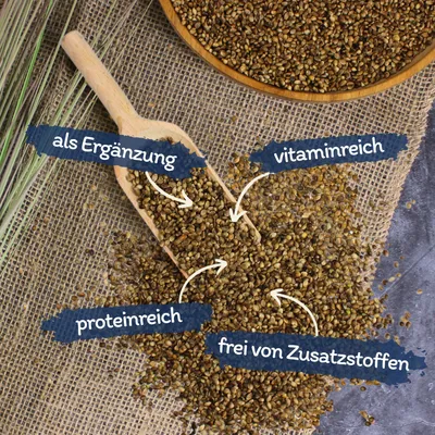 Graines de chanvre Lyra Pet®