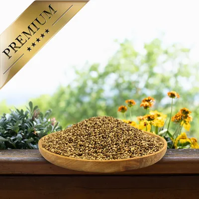 Graines de chanvre Lyra Pet®