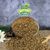 Graines de chanvre Lyra Pet®