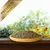 Lyra Pet® Vicks Lyra Pet® Vicks