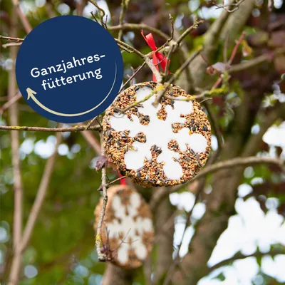 Lyra Pet® Gâteau d'oiseaux