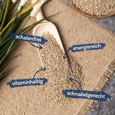 Lyra Pet® Graines de tournesol décortiquées Rupture de qualité alimentaire