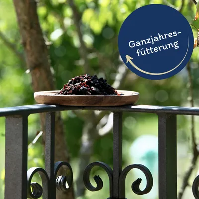 Lyra Pet® Raisins secs Premium