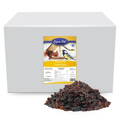 Lyra Pet® Raisins secs Premium