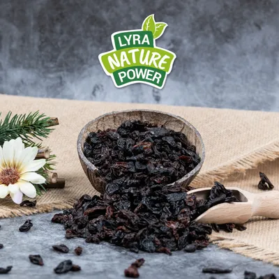 Lyra Pet® Raisins secs Premium