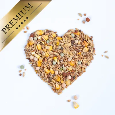 Lyra Pet® nourriture pour pigeons mélange standard