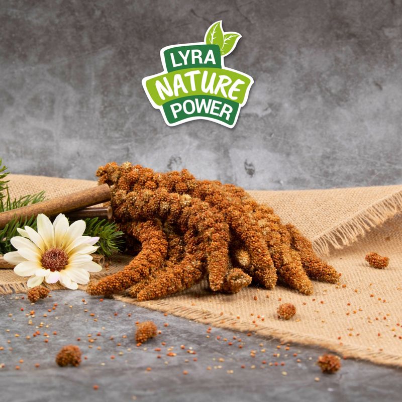 Lyra Pet® Millet en grappe rouge