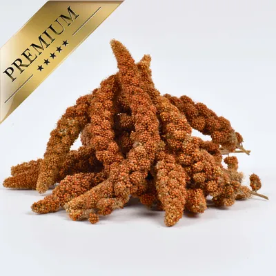 Lyra Pet® Millet en grappe rouge