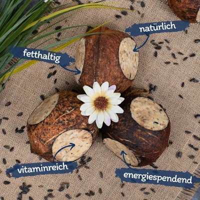 Lyra Pet® Noix de coco farcie avec trous