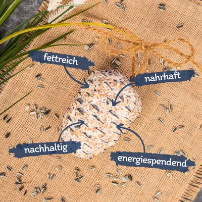 Lyra Pet® Pomme de pin géante