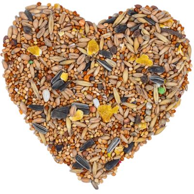 Lyra Pet® nourriture pour perruches nymphes