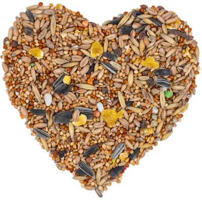 Lyra Pet® nourriture pour perruches nymphes Lyra Pet® nourriture pour perruches nymphes