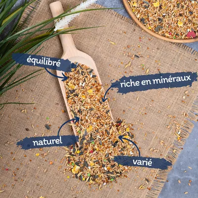 Lyra Pet® Nymphensittichfutter Großsittichfutter