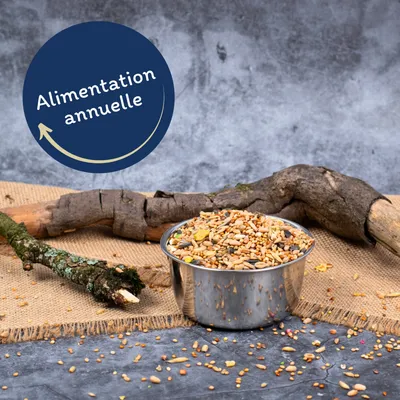 Lyra Pet® Nymphensittichfutter Großsittichfutter