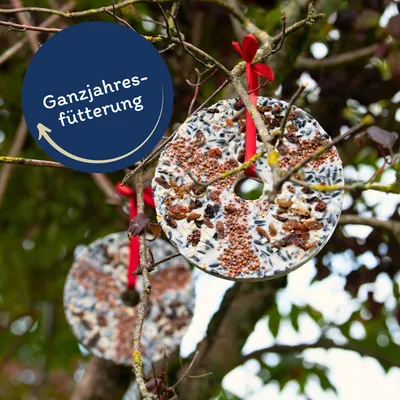 Lyra Pet® Valise d'oiseaux