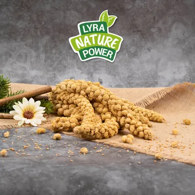 2 kg Lyra Pet® Millet en grappe jaune
