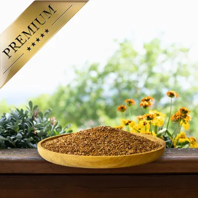 Graines de lin Lyra Pet®