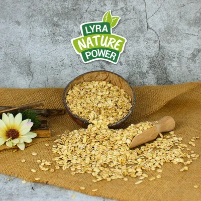 Lyra Pet® Flocons d'avoine