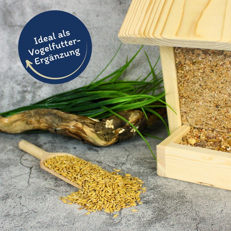 Lyra Pet® Riz Paddy