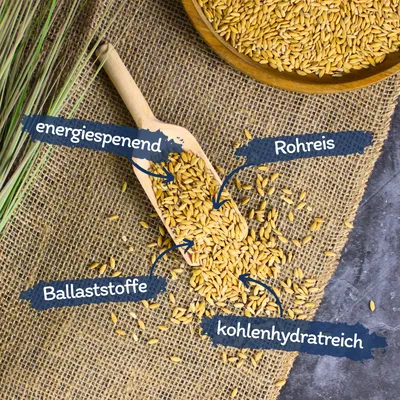 Lyra Pet® Riz Paddy