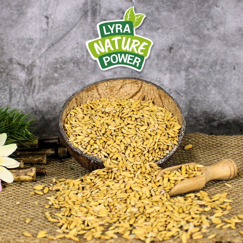 Lyra Pet® Riz Paddy