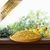 Lyra Pet® Riz Paddy