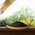 Lyra Pet® Colza