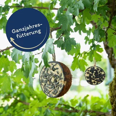 Lyra Pet® Demi-noix de coco fourrée au topping